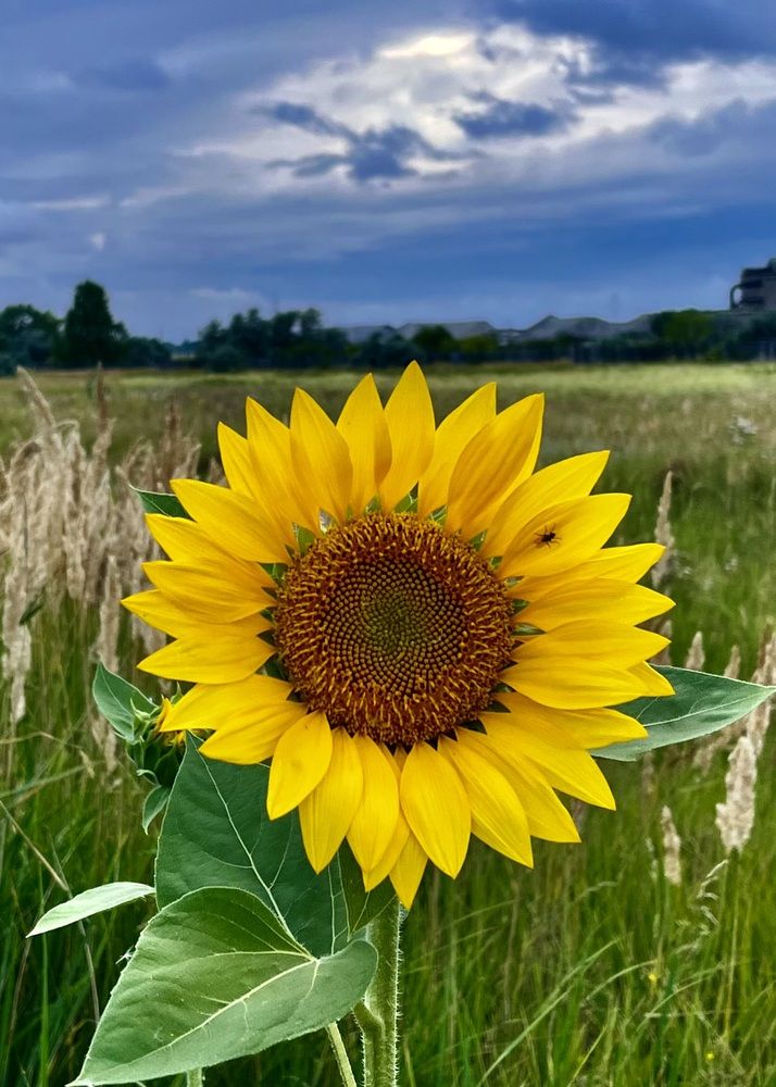 Photograph by Ольга Белоусова