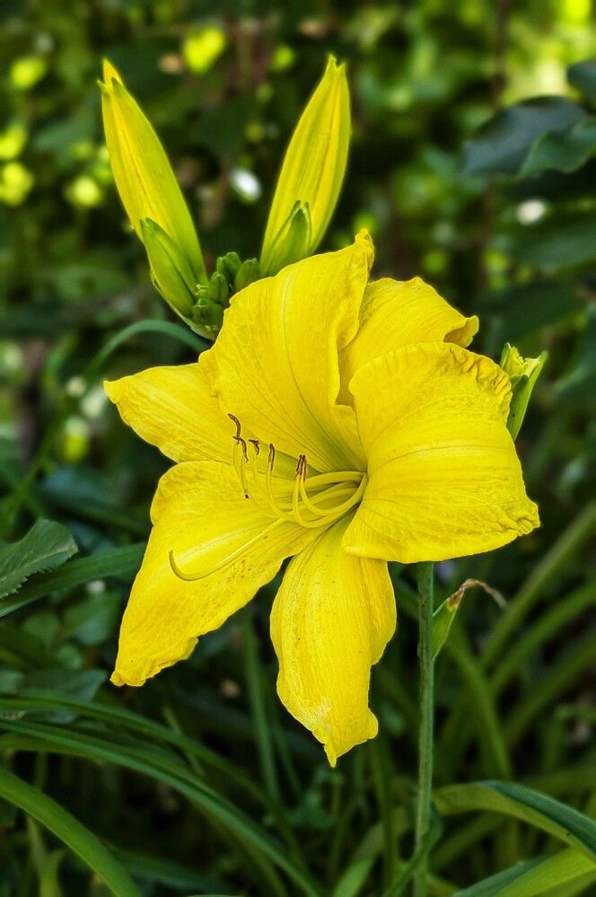 Photograph by Любовь Колмакова