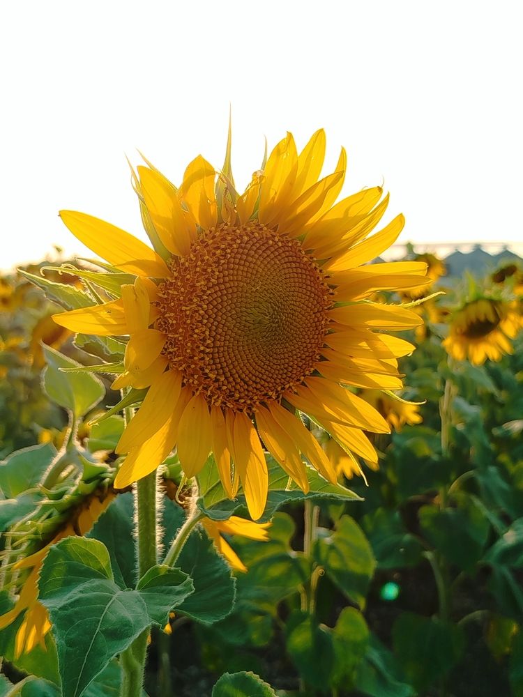 Photograph by Наталья Назаренко