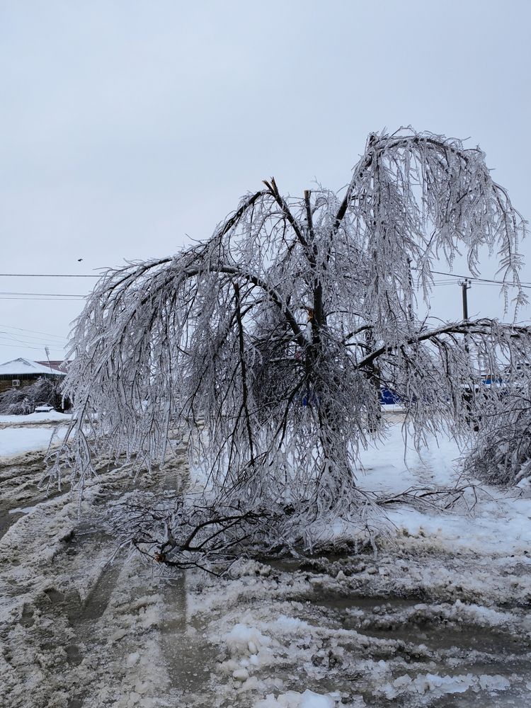 Photograph by Ульяна Кузьмина