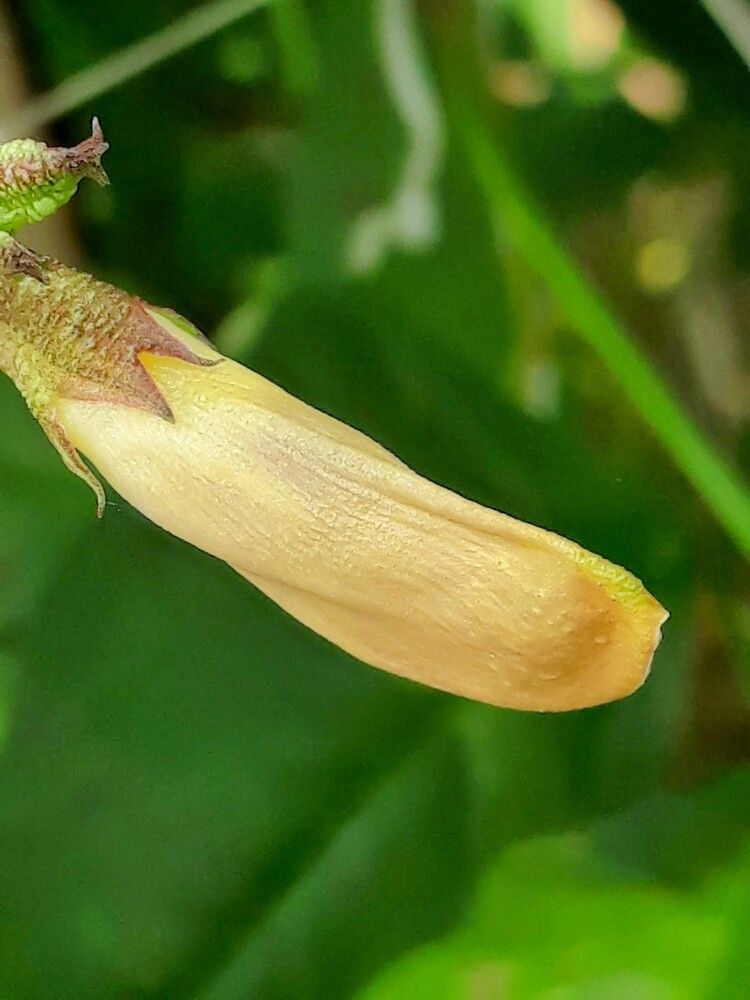 Photograph by Neel Bonna