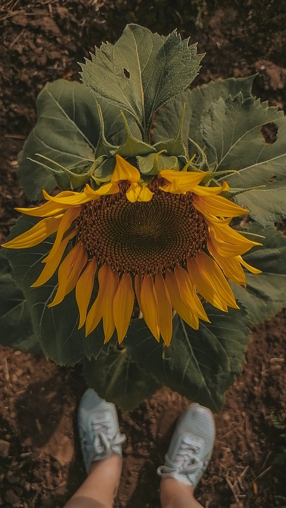 Photograph by Наталия Соболева