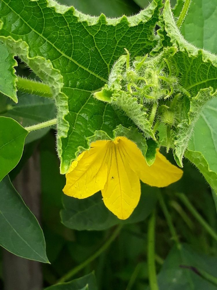 Photograph by Neel Bonna