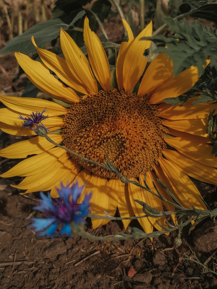 Photograph by Наталия Соболева