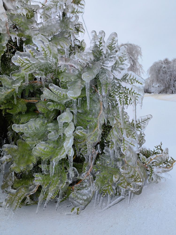 Photograph by Ульяна Кузьмина