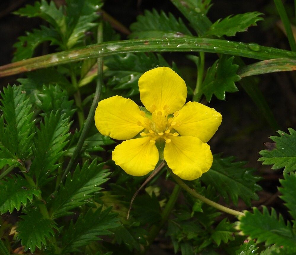 Photograph by Владимир Джерихов