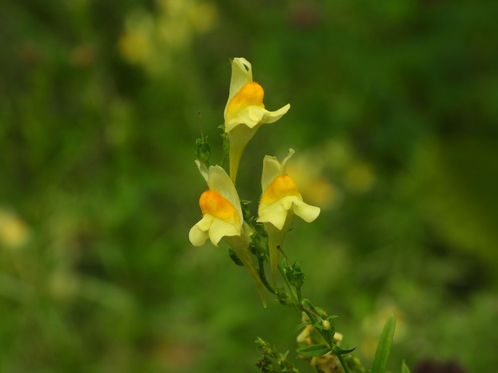 Photograph by Владимир Джерихов