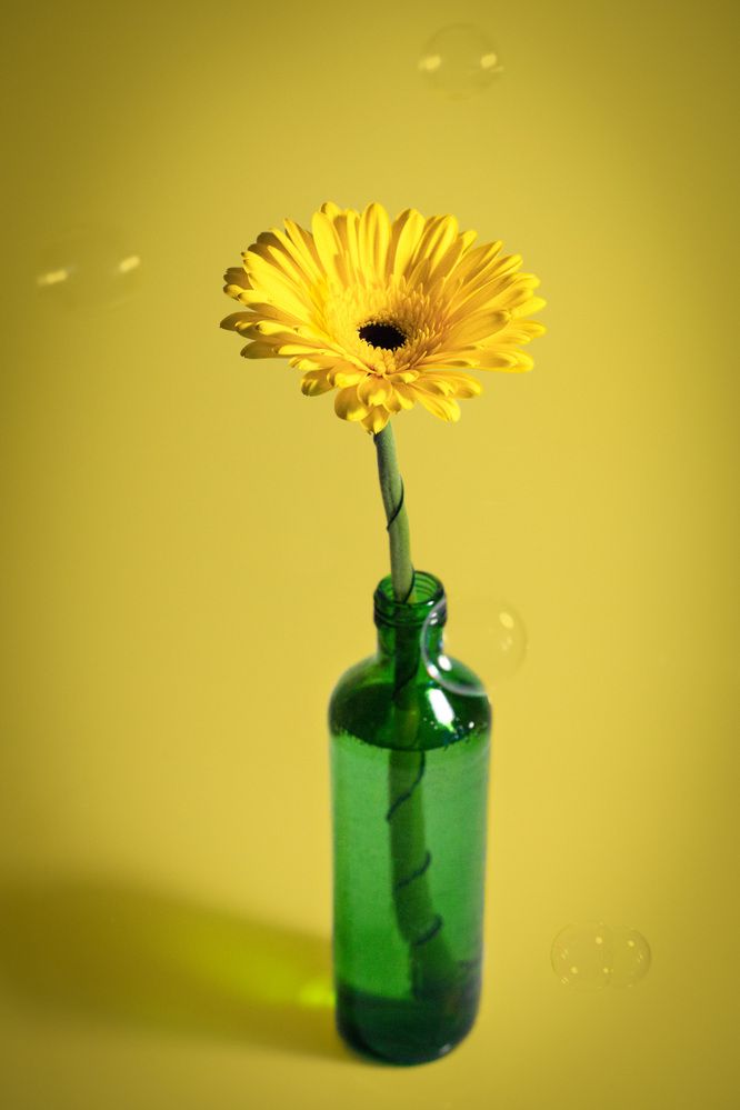 Photograph by Анна Брагина