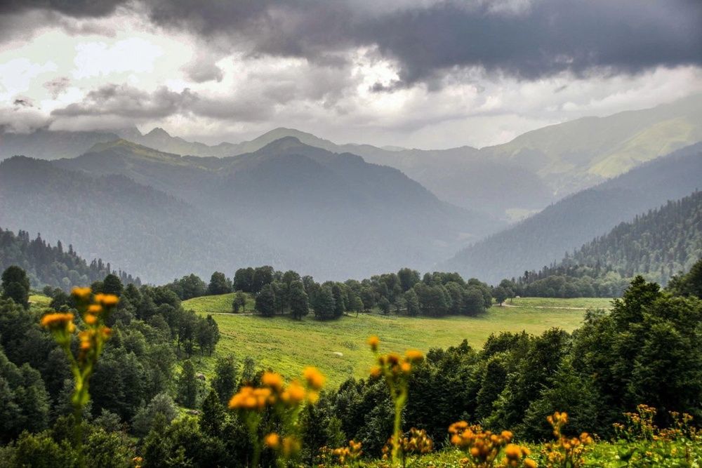 Фотография автора Мария Тюрина