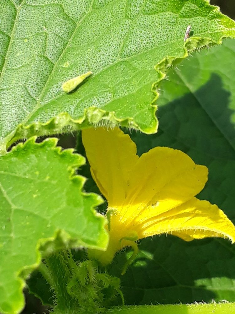 Photograph by Neel Bonna