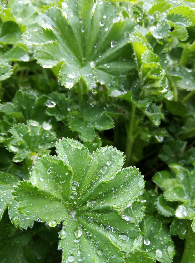 Photograph by Наталья Волобуева