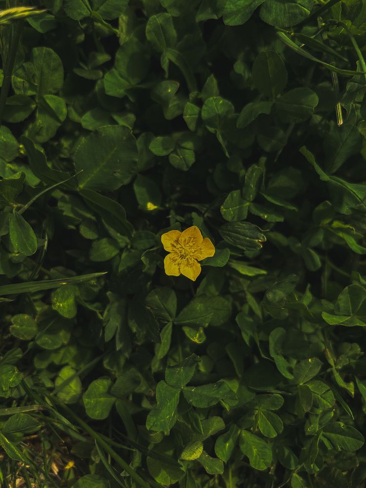 Photograph by Veronika Gromadina