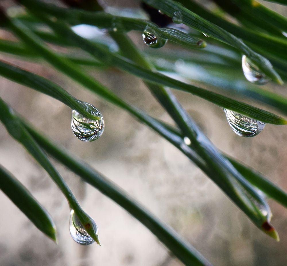 Photograph by Aleksandra Bistrova