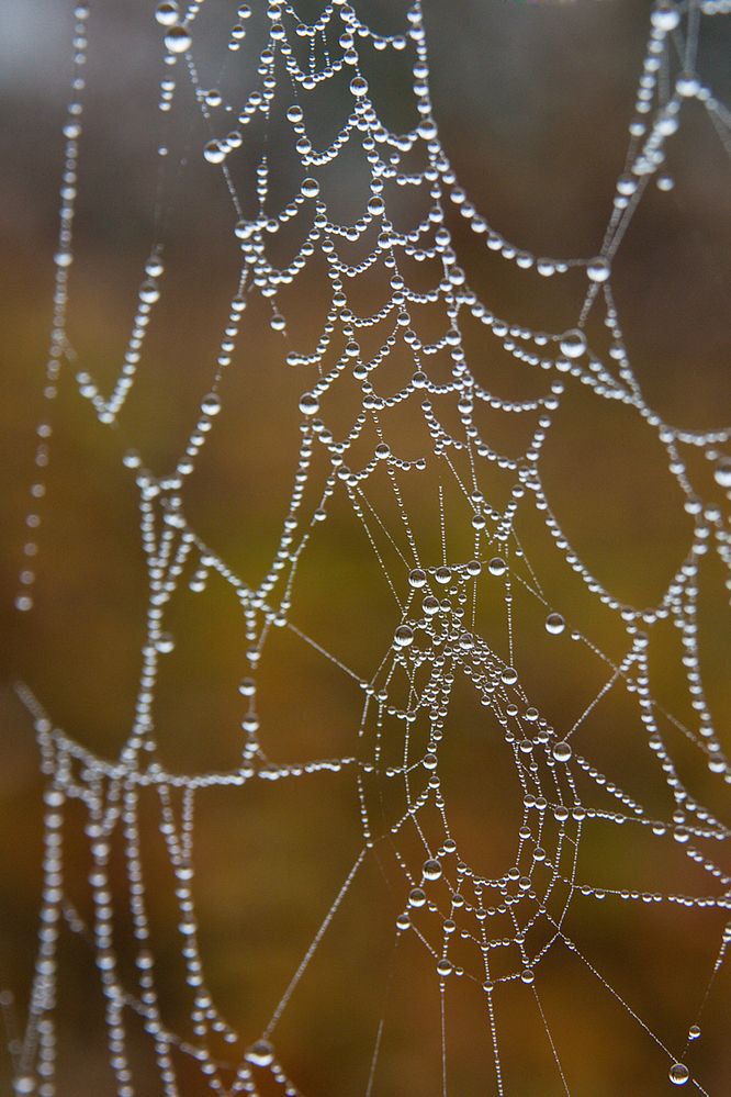 Photograph by Jiří Hakauf