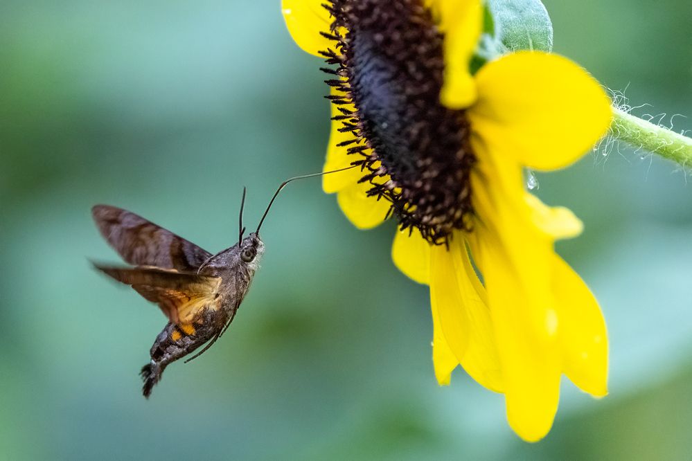 Photograph by Zhenhuan Zhou