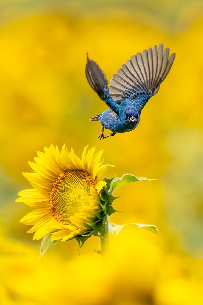 Photograph by Zhenhuan Zhou