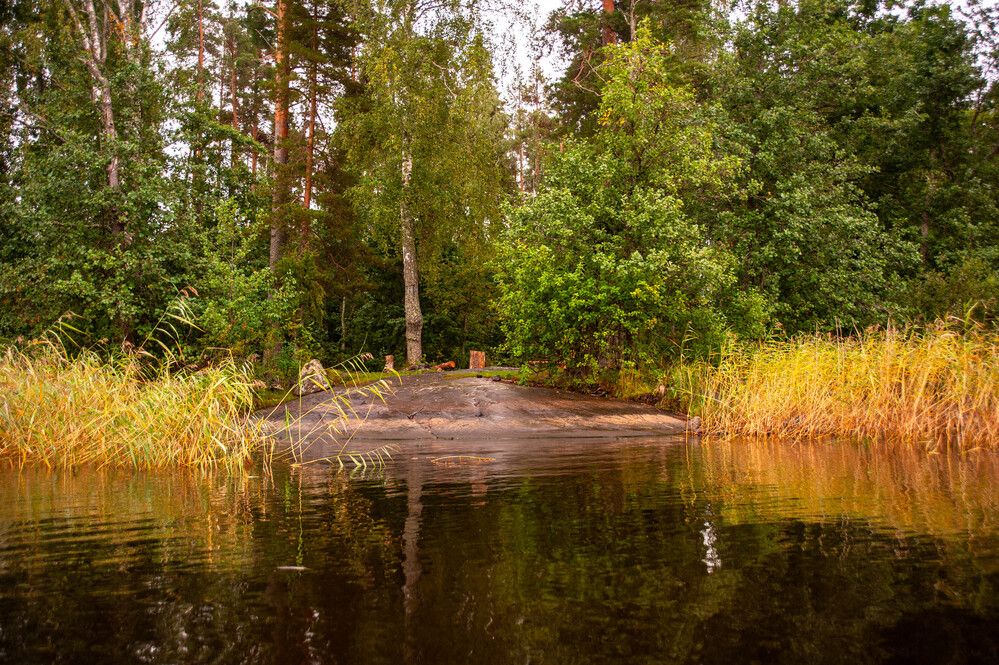 Photograph by Александр Вавулин