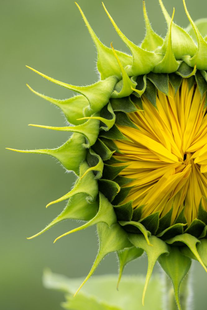 Photograph by Иван Ок