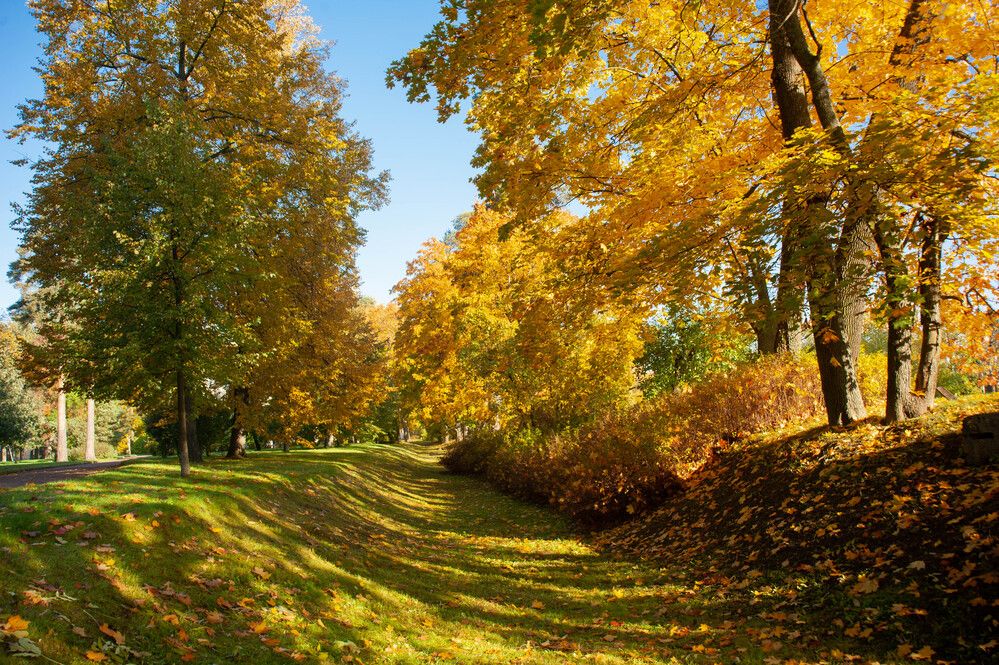 Photograph by Александр Вавулин