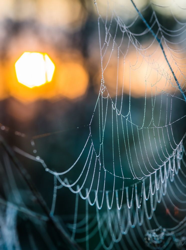 Photograph by Валерий Смирнов