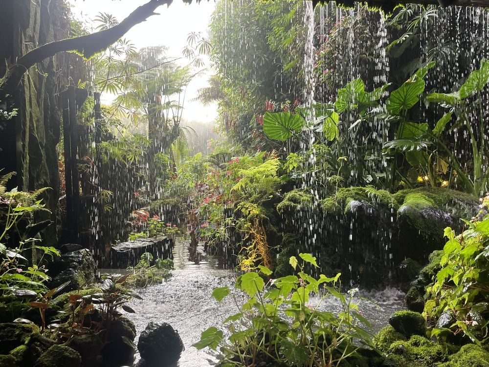 Photograph by Abigail de Necker