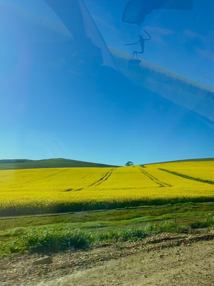 Photograph by Abigail de Necker