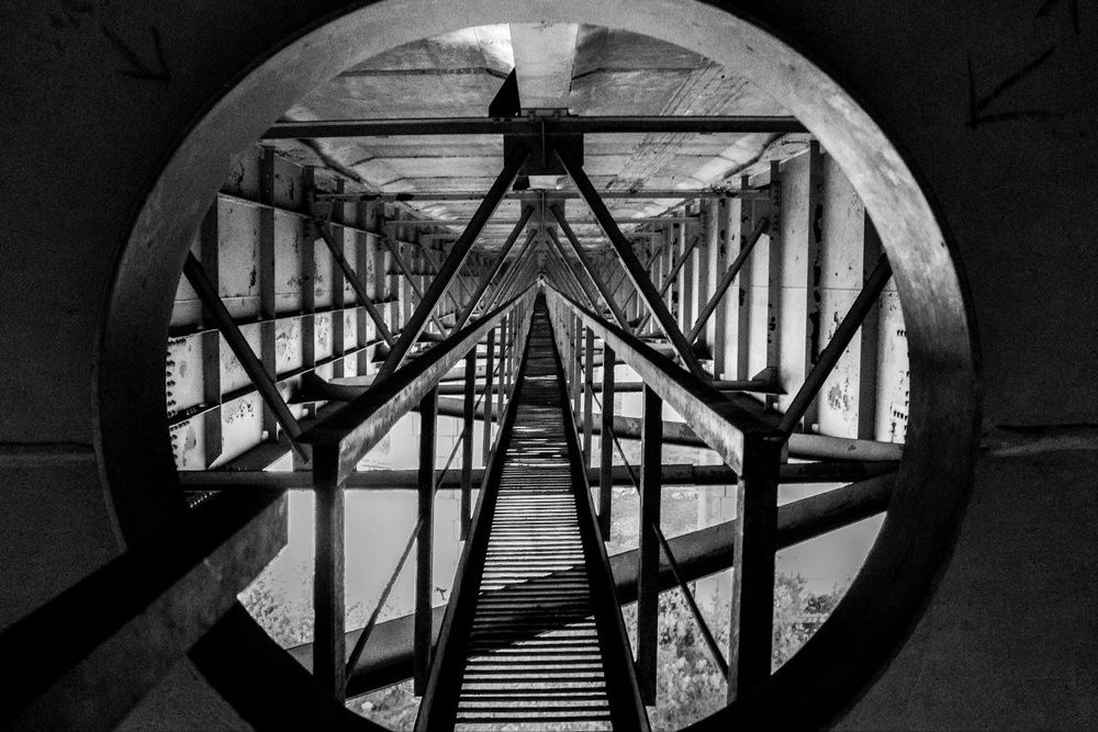 Фотография автора Мария Тюрина