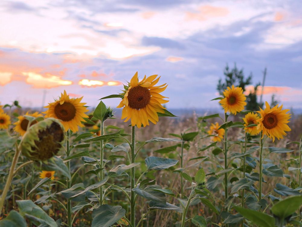 Photograph by Серёга Ануфриев