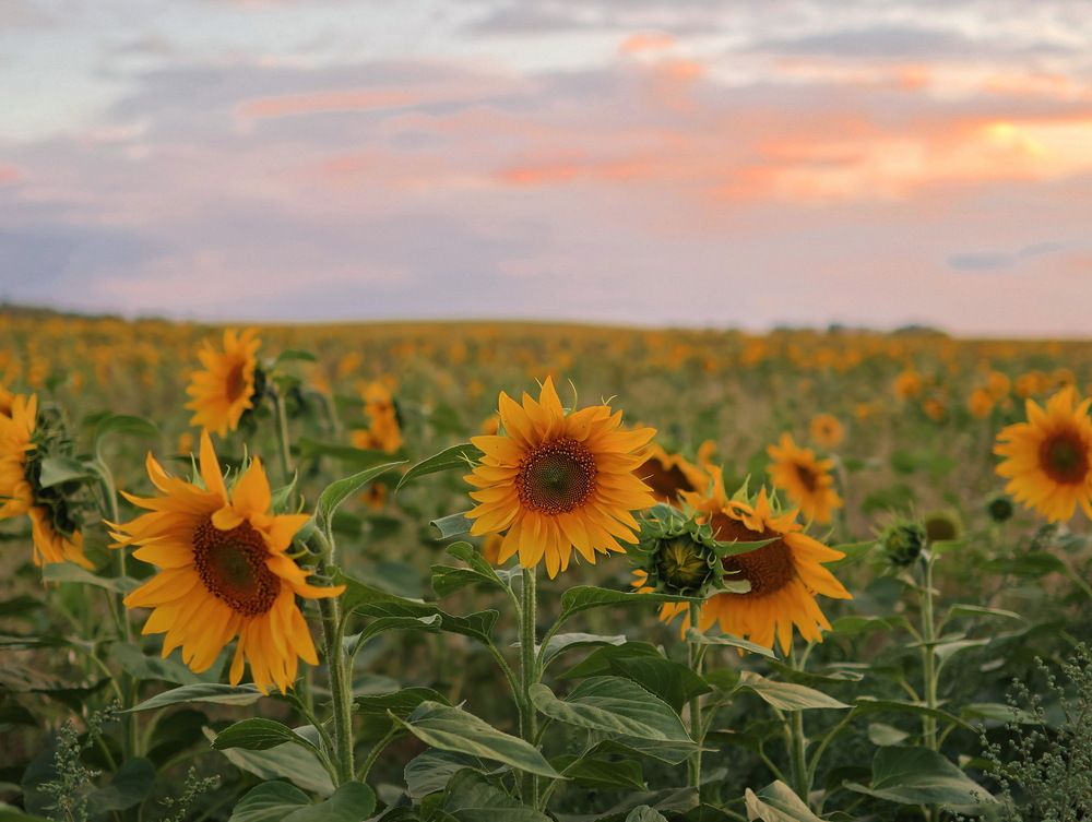 Photograph by Серёга Ануфриев