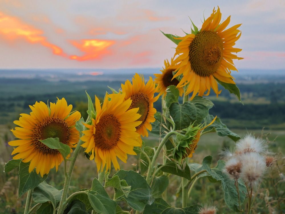 Photograph by Серёга Ануфриев