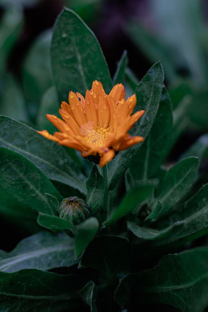 Photograph by Сергей Зайцев