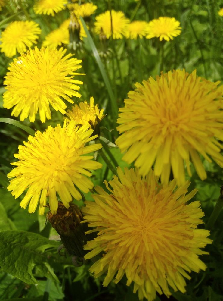 Photograph by Наталья Волобуева