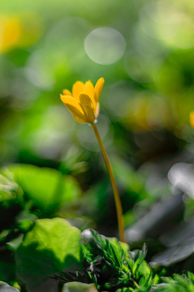 Photograph by Сергей Зайцев