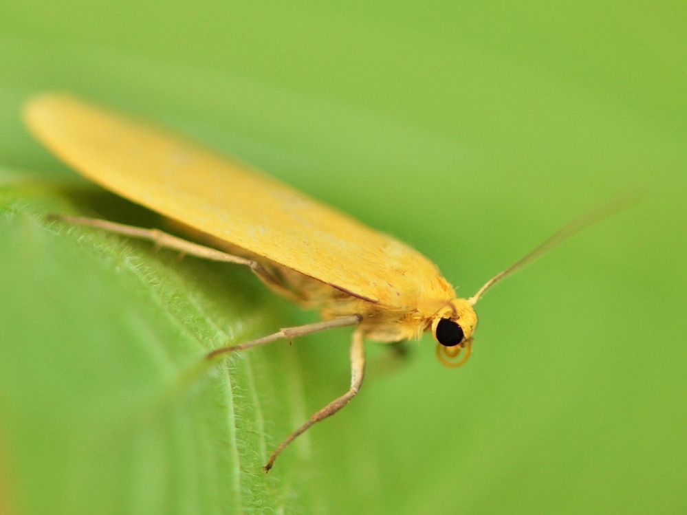 Photograph by Илфир Исламгазин