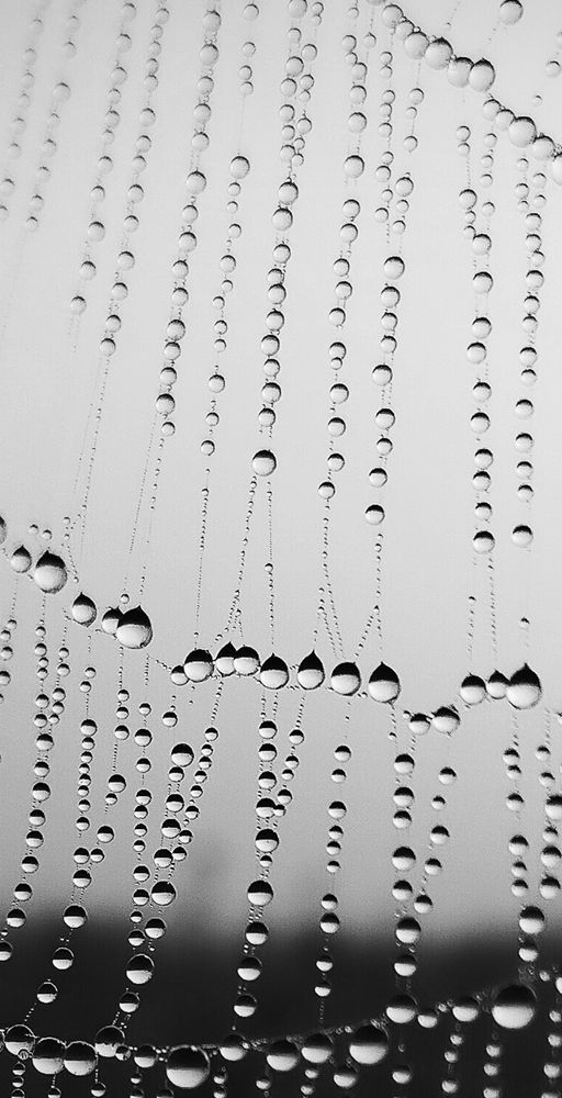 Photograph by Ольга Мартьянова