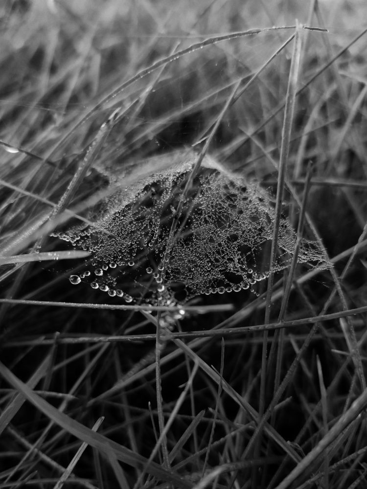 Photograph by Алия Латыйпова