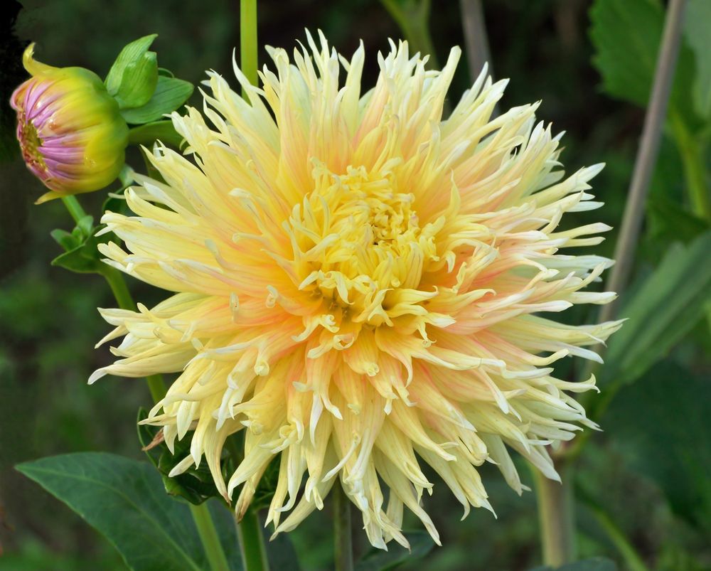 Photograph by Илфир Исламгазин