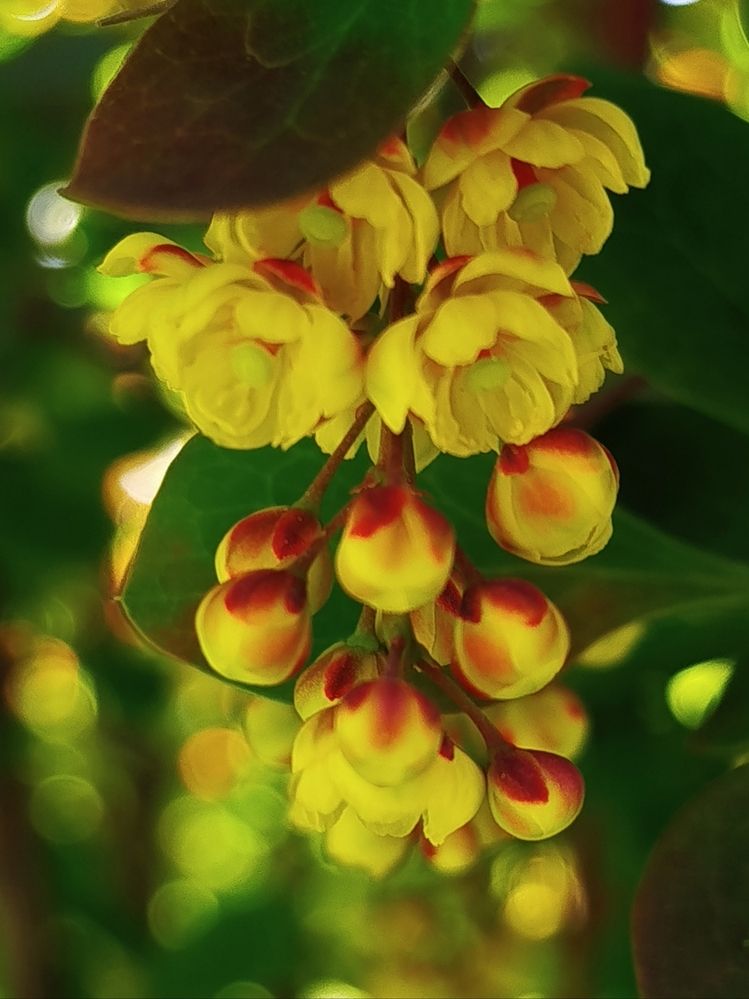 Photograph by Наталья Назаренко