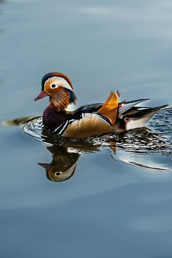 Photograph by Илья Антипов