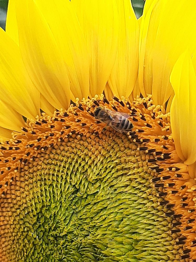 Photograph by Анна Хмелькова
