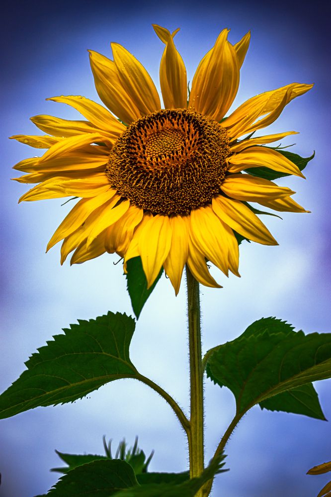 Photograph by Сергей Зайцев