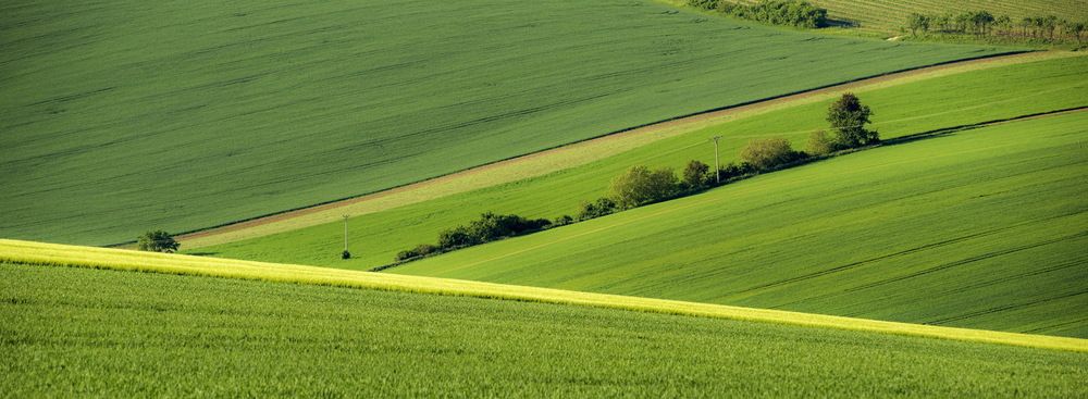 Photograph by Валерий Смирнов