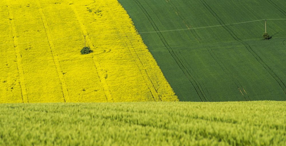 Photograph by Валерий Смирнов