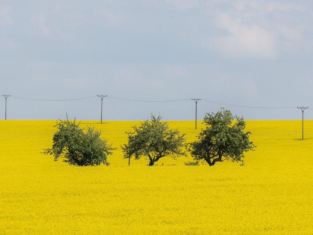 Photograph by Валерий Смирнов