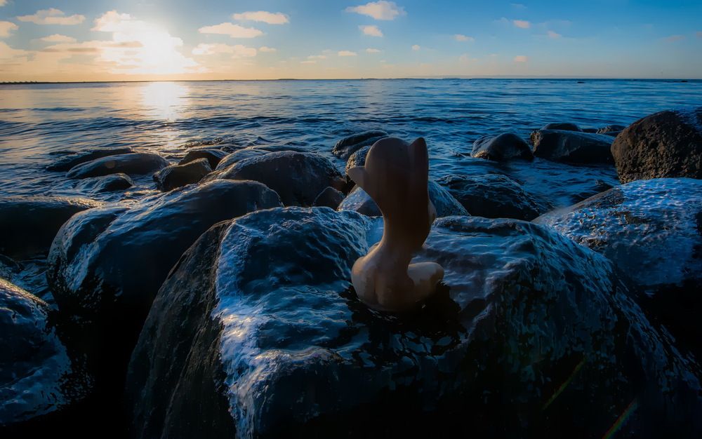 Photograph by Валерий Смирнов