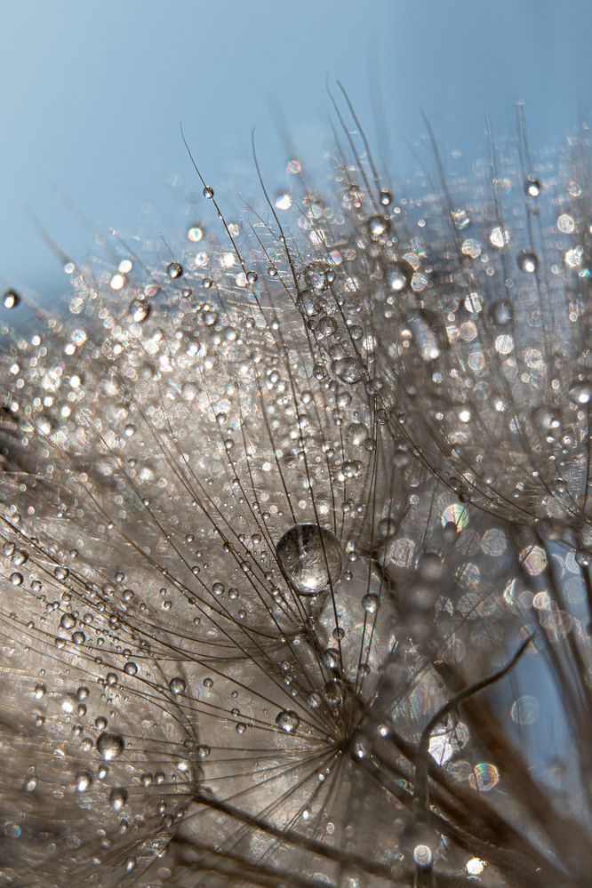 Photograph by Szilvia Farkas