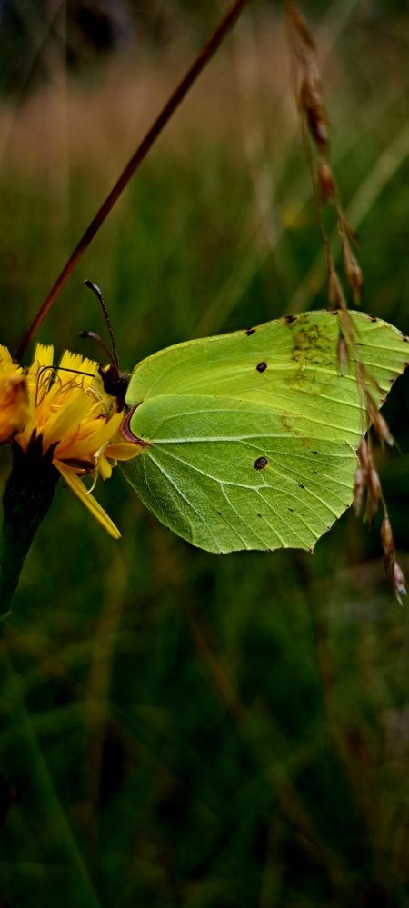 Photograph by Галина Перепечаева