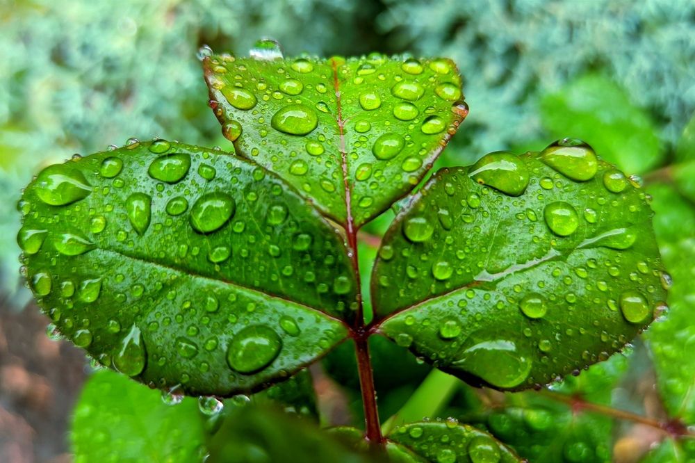 Фотография автора Андрей Павловский