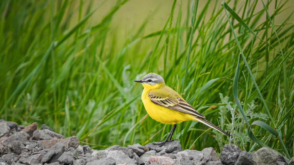 Photograph by Олег Белан