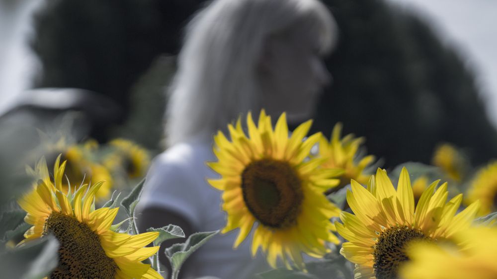 Фотография автора Роман Чернышов